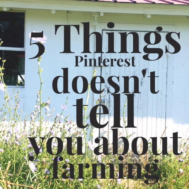 5 things pinterest doesn't tell you about farming