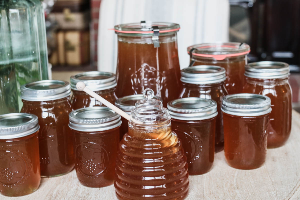 beekeeping 2018 honey harvest