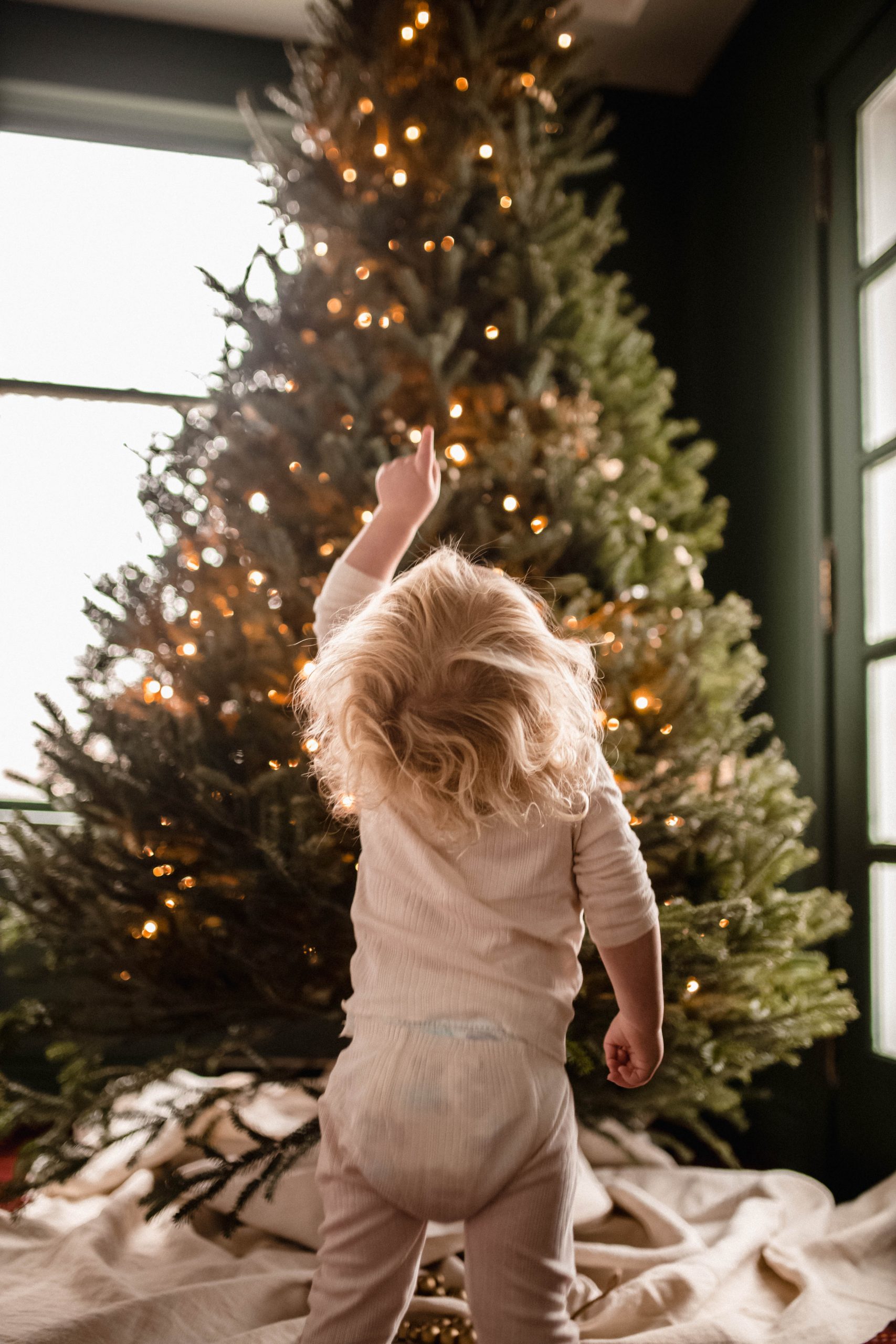 Teaching a toddler to decorate the christmas tree
