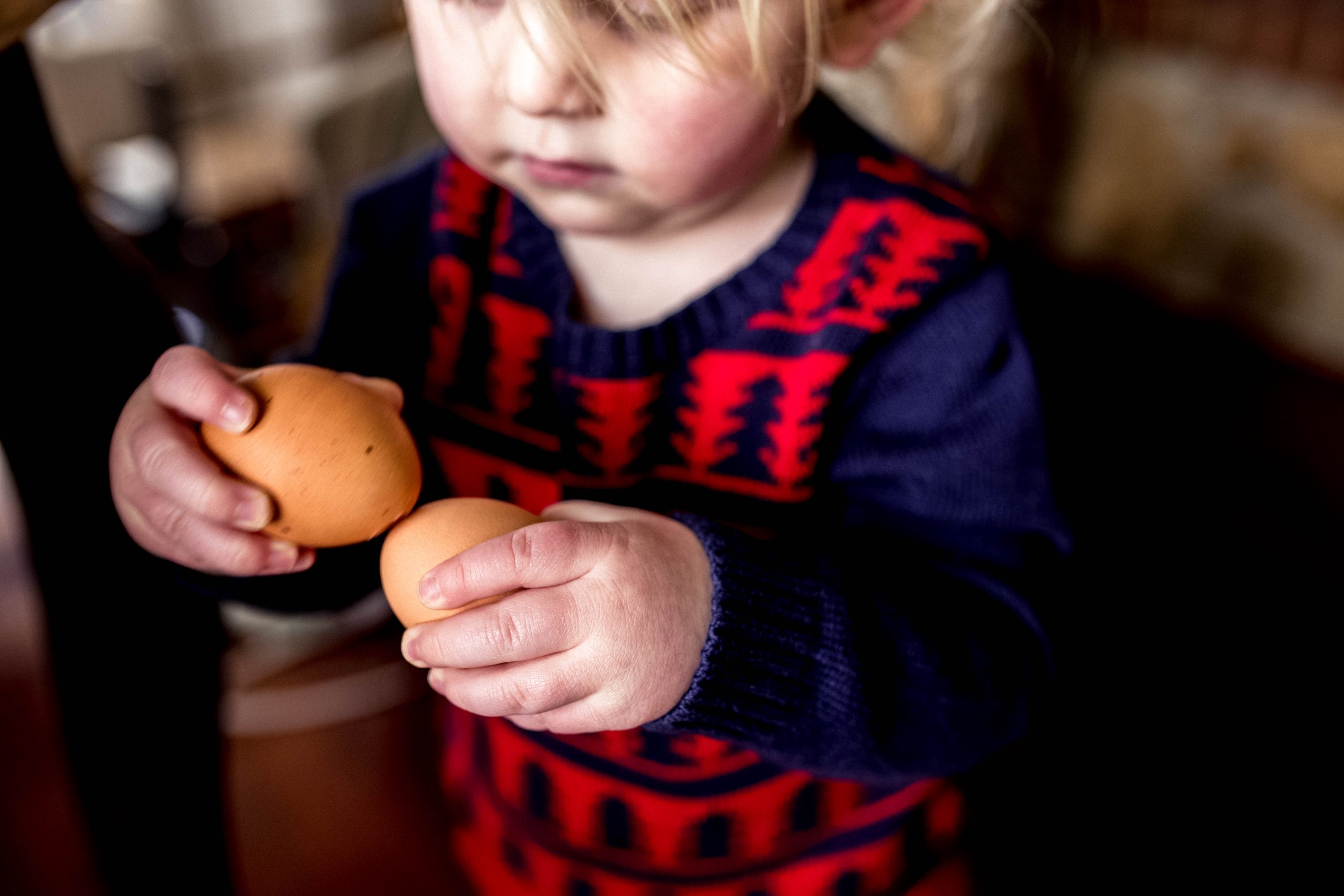 Teaching Toddlers about Eggs