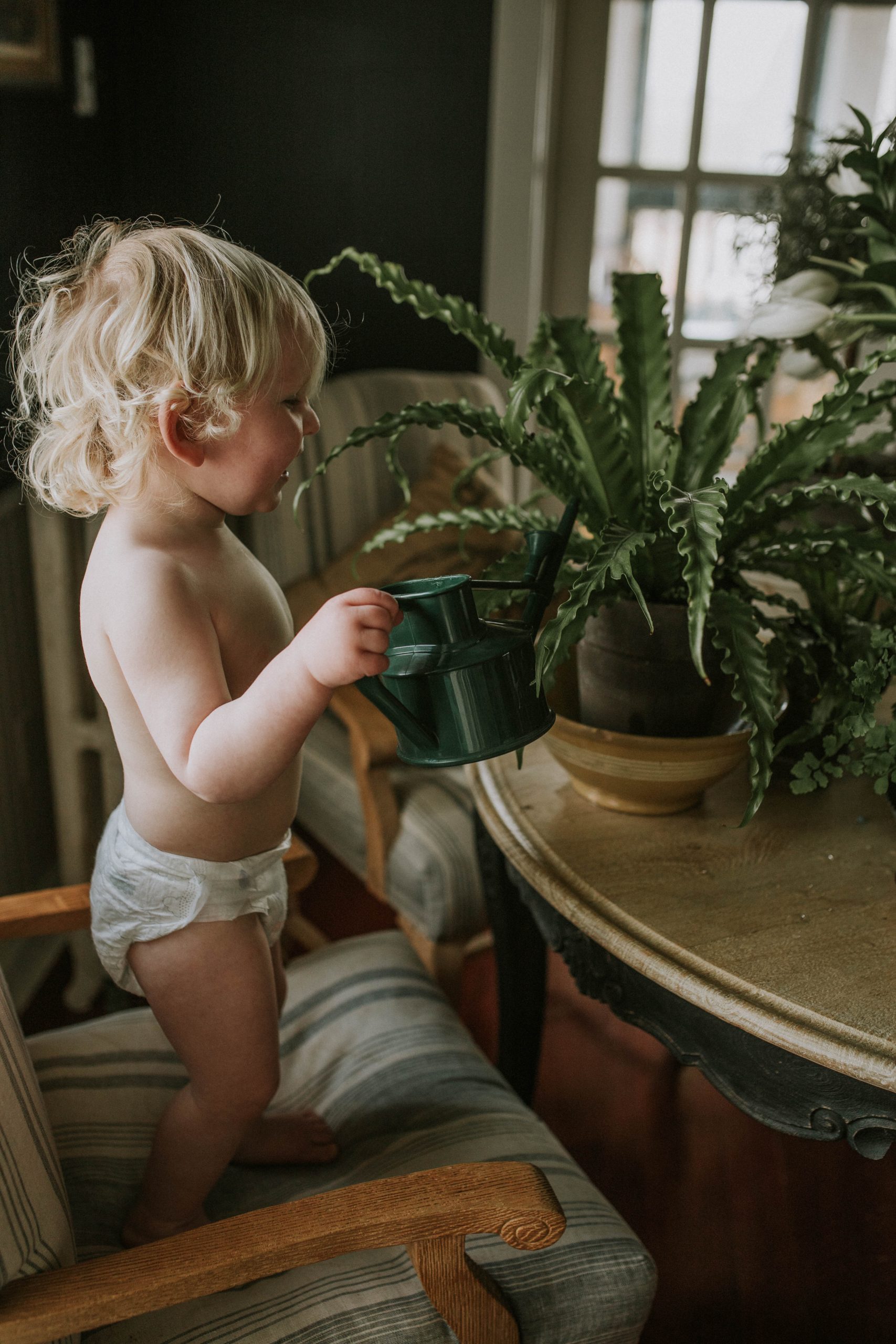 Toddler helping his mama water indoor houseplants 