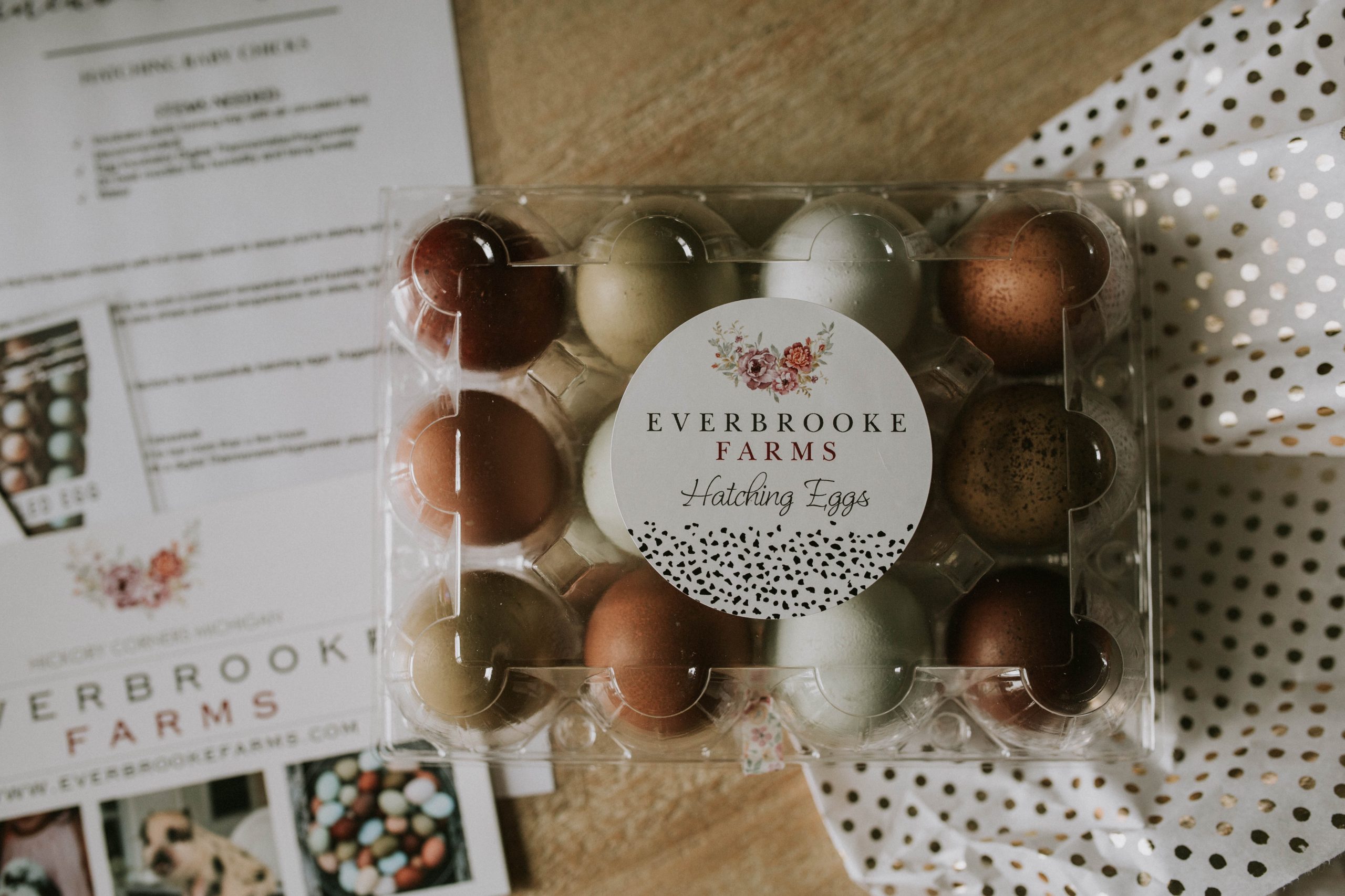 Everbrooke Farm Hatching Egg 