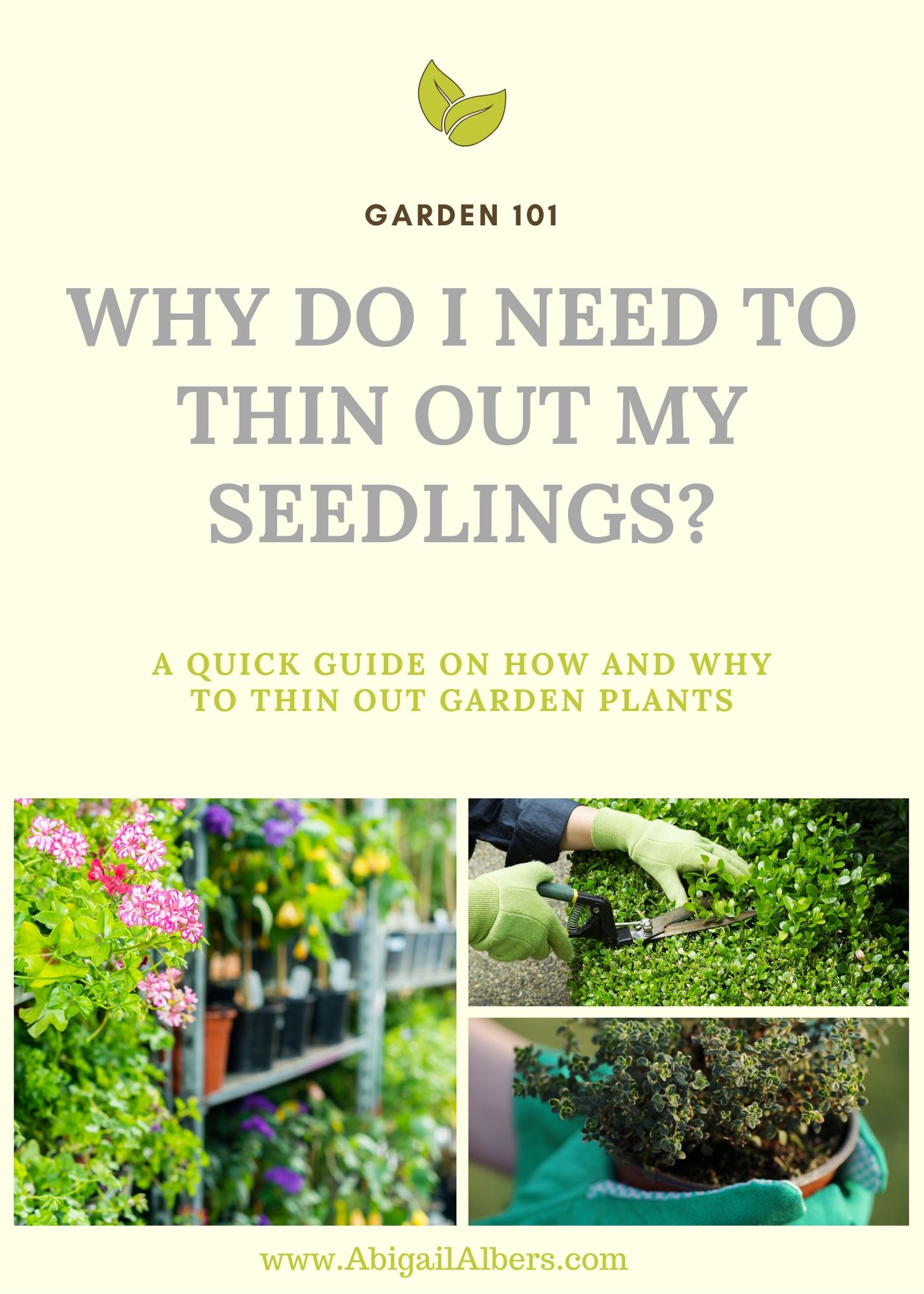 Why do I need to thin my seedlings