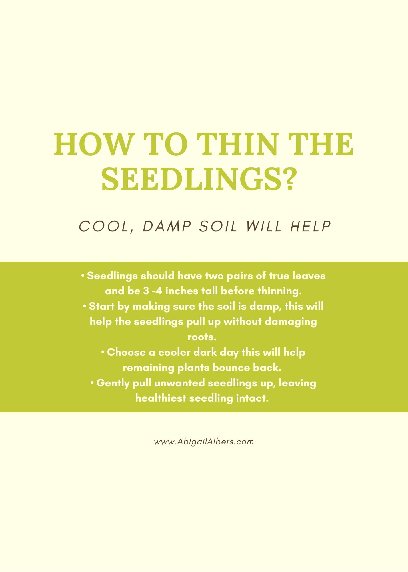 Why do I need to thin my seedlings