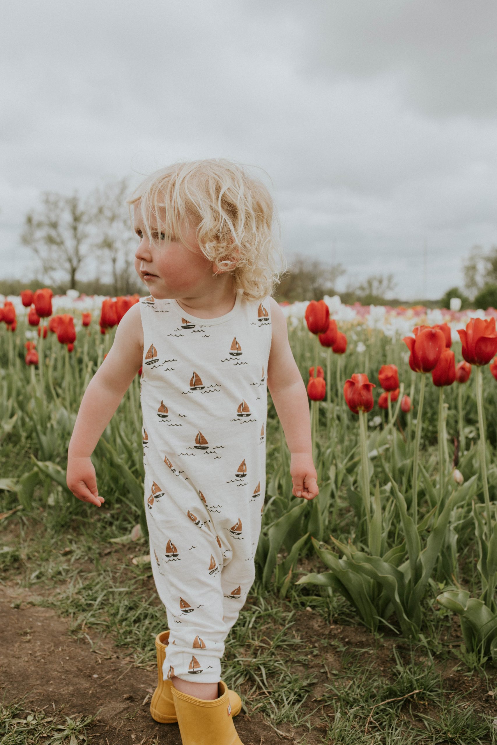 Toddler in the Tulip Fields