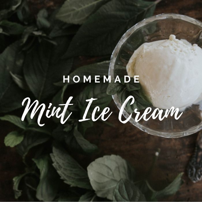 Homemade Mint Ice Cream