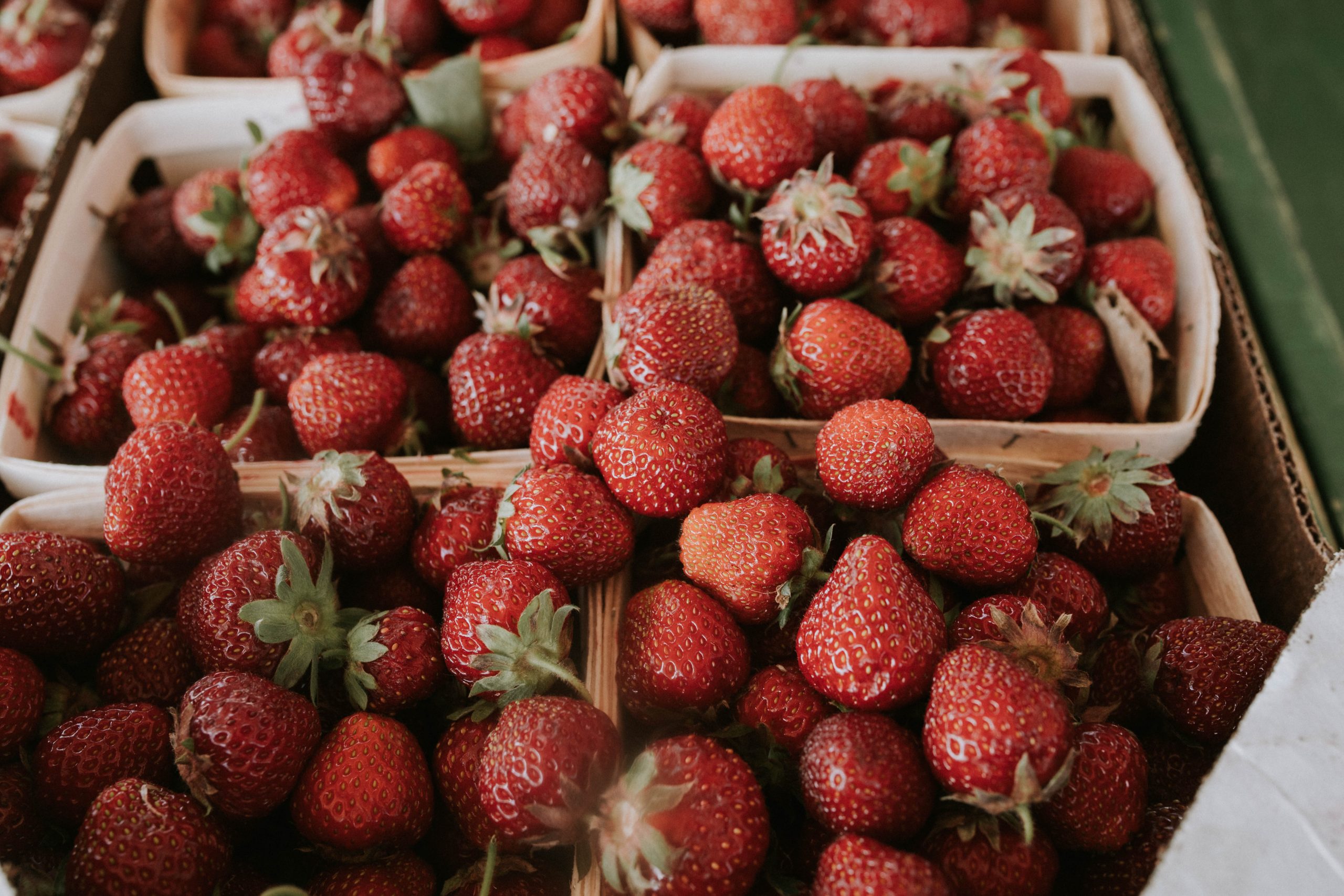 Visser Farm Strawberry