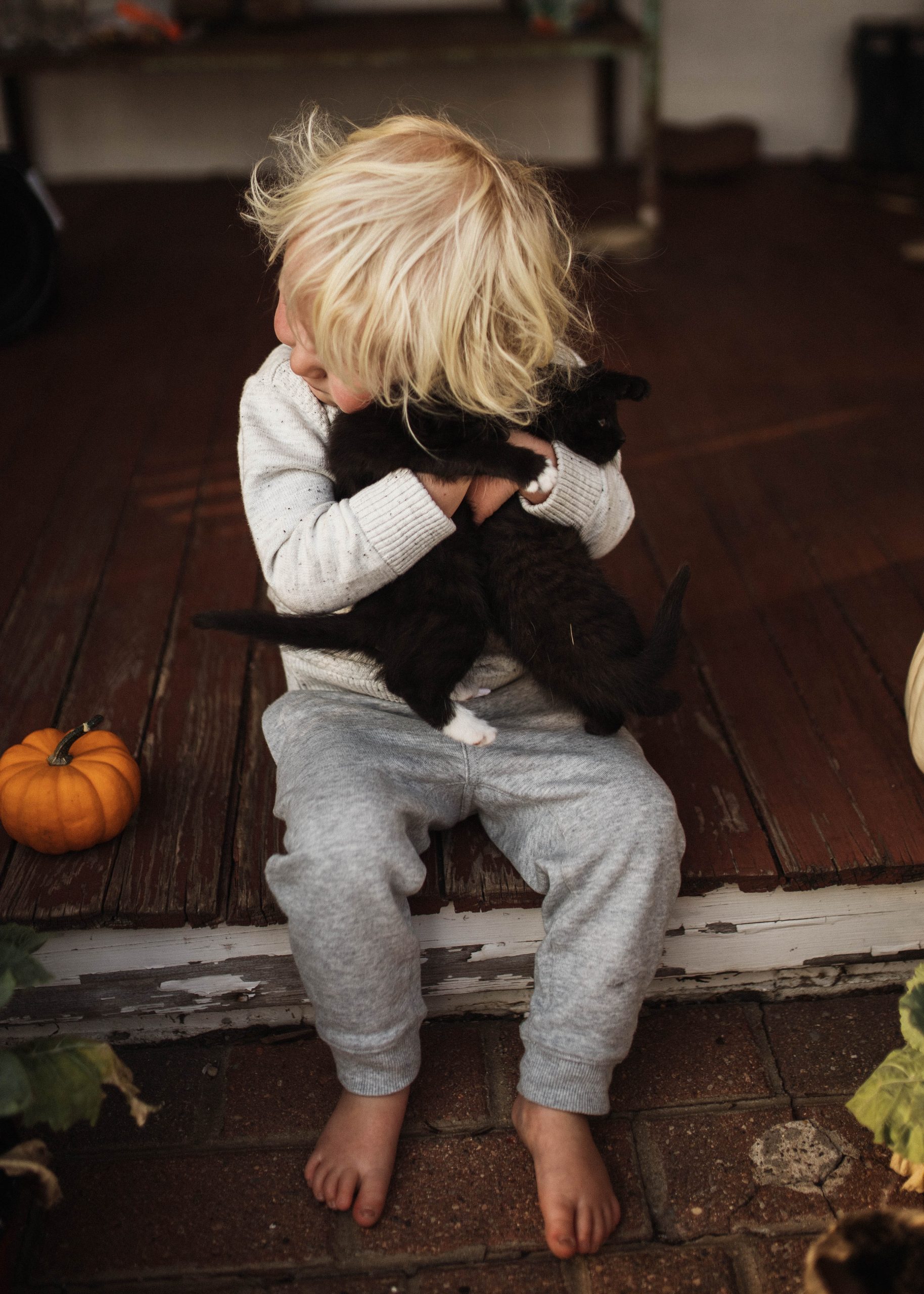 Toddler hugging his farm kitty 
