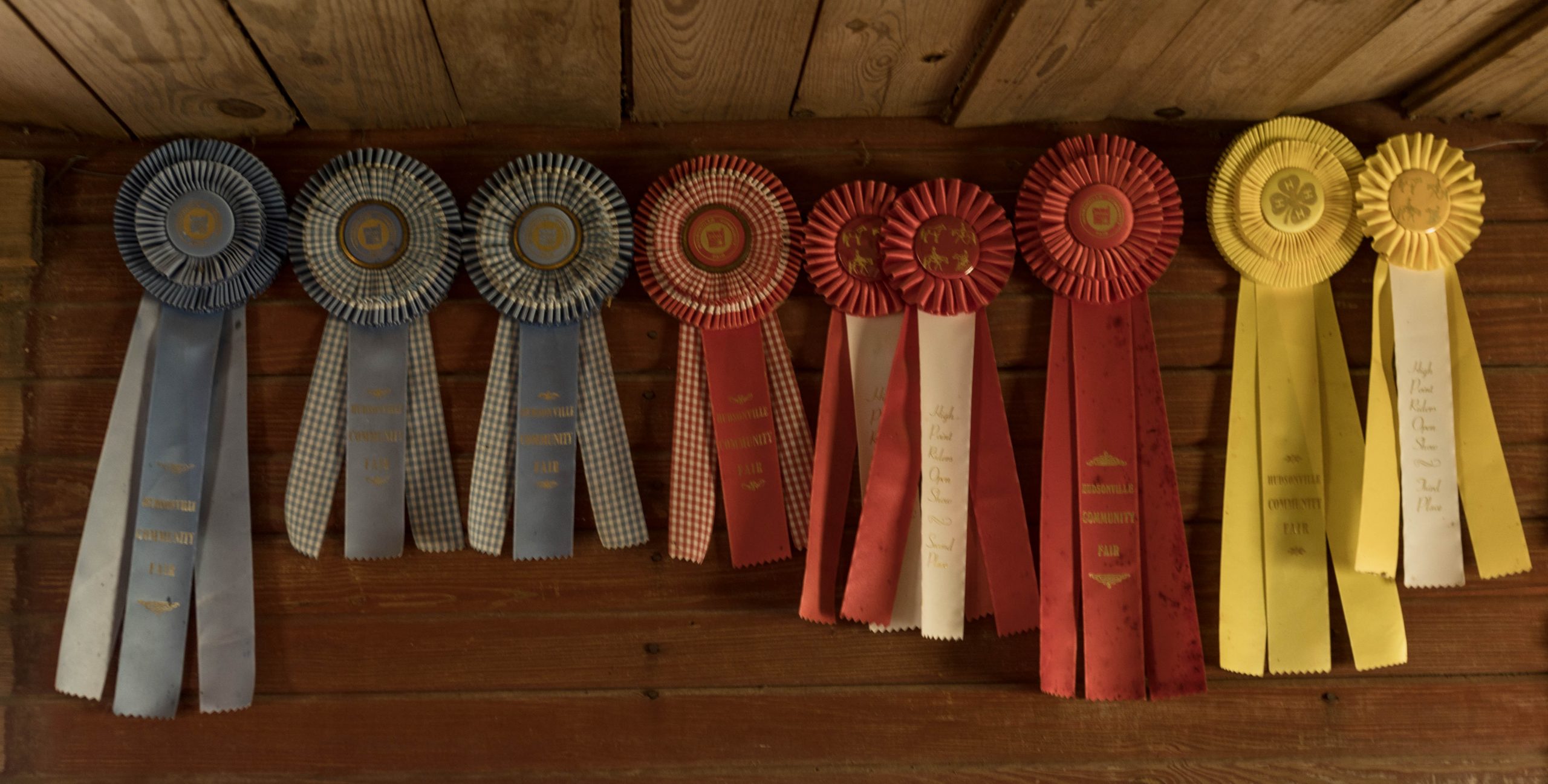 Vintage County Fair ribbons 